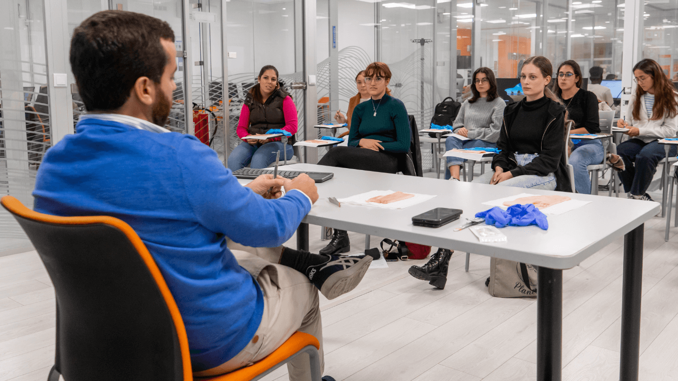 workshop de veterinária